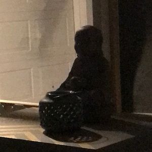 Meet your Posher, Robyn